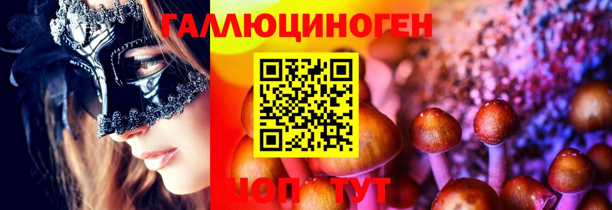 Галлюциногенные грибы GOLDEN TEACHER  Вход с VPN  Среднеуральск 